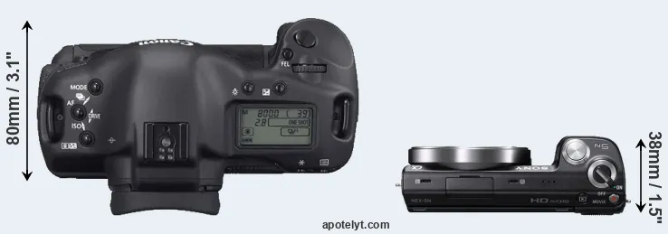 Compare 1D Mark II N versus NEX-5N top