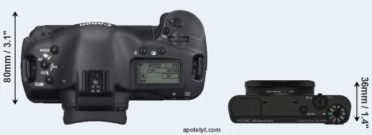 Compare 1D Mark II N versus RX100 top