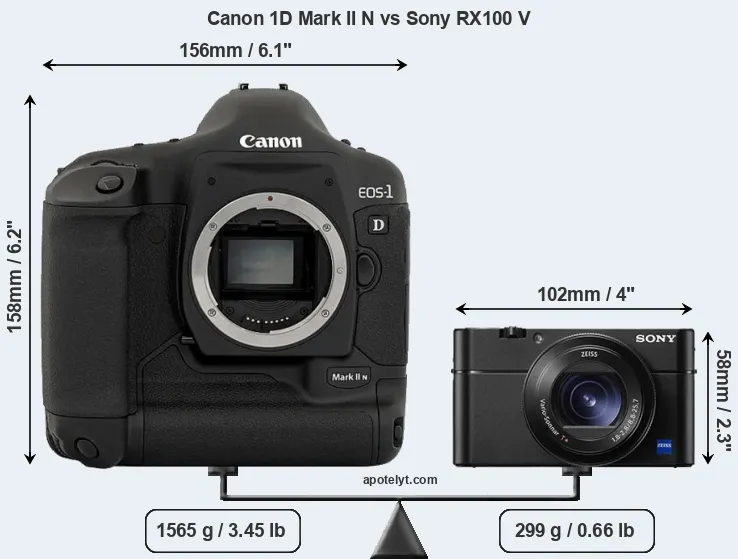 Size Canon 1D Mark II N vs Sony RX100 V