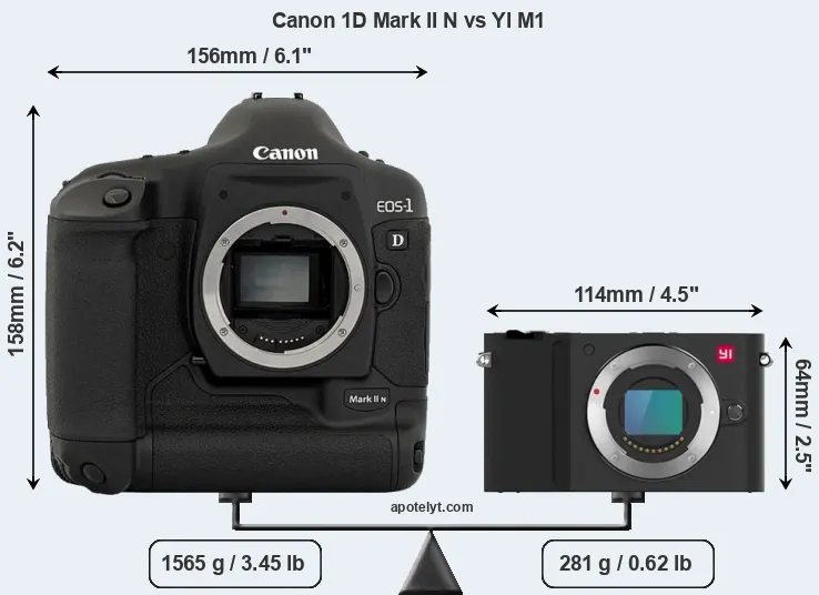 Size Canon 1D Mark II N vs YI M1