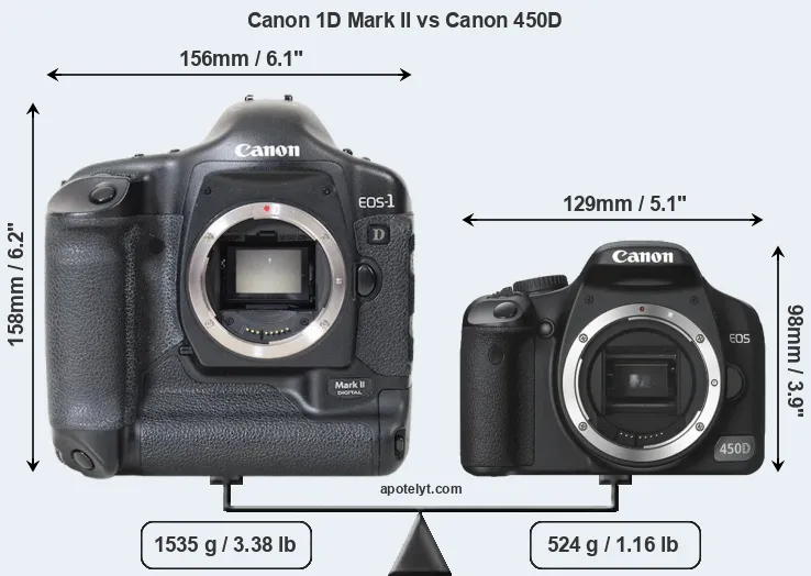 Size Canon 1D Mark II vs Canon 450D