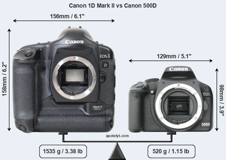 Size Canon 1D Mark II vs Canon 500D