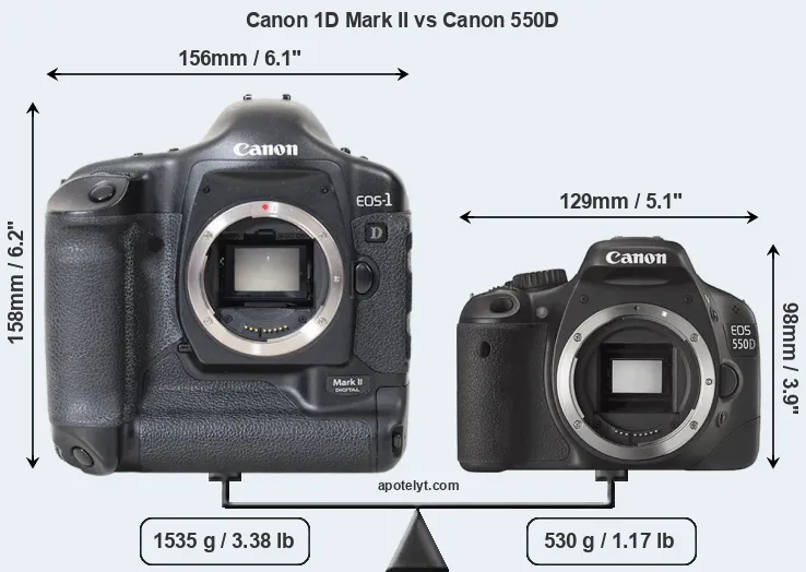Size Canon 1D Mark II vs Canon 550D
