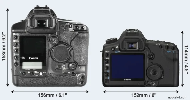 Comparison 1D Mark II or 5D Mark II rear