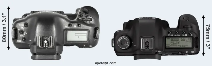 Compare 1D Mark II versus 5D Mark II top