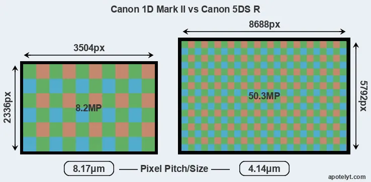 1D Mark II versus 5DS R MP