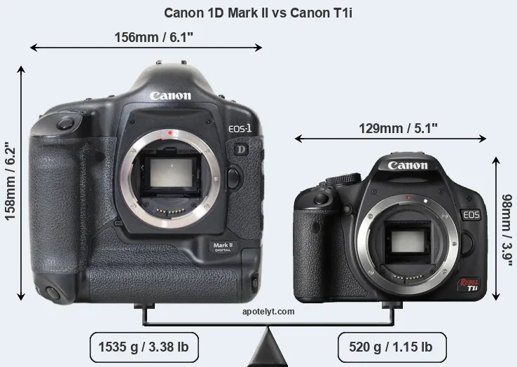 Size Canon 1D Mark II vs Canon T1i