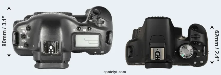 Compare 1D Mark II versus T1i top