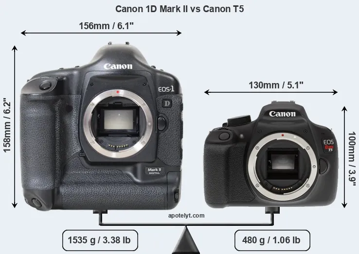 Size Canon 1D Mark II vs Canon T5
