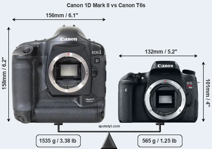 Size Canon 1D Mark II vs Canon T6s