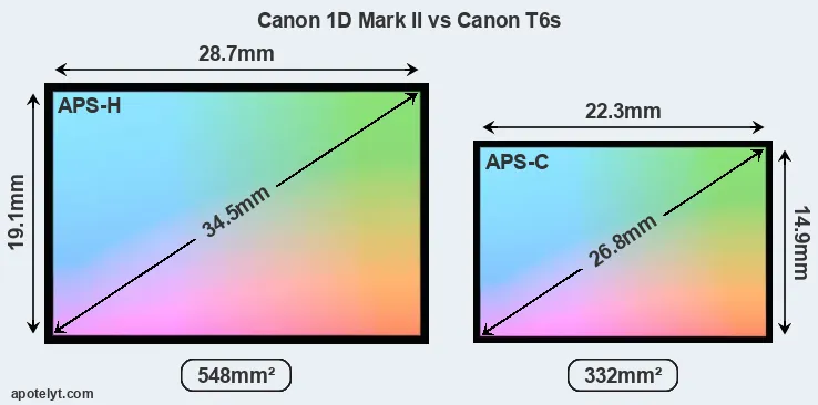 Canon 1D Mark II and Canon T6s sensor measures