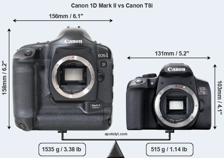 Size Canon 1D Mark II vs Canon T8i
