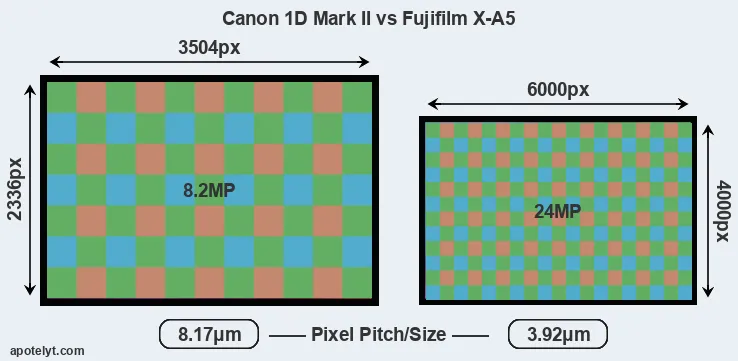 1D Mark II versus X-A5 MP