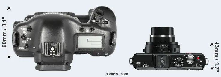 Compare 1D Mark II versus D-LUX 5 top