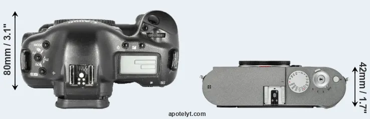 Compare 1D Mark II versus M-E Typ 240 top