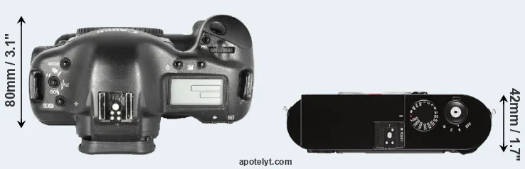 Compare 1D Mark II versus M Typ 262 top