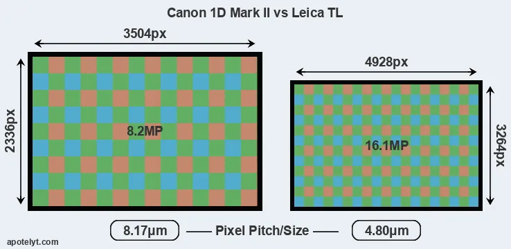 1D Mark II versus TL MP