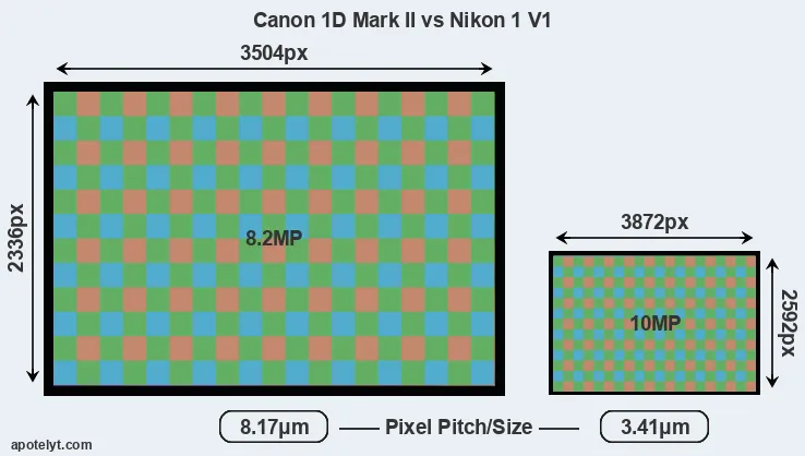 1D Mark II versus V1 MP