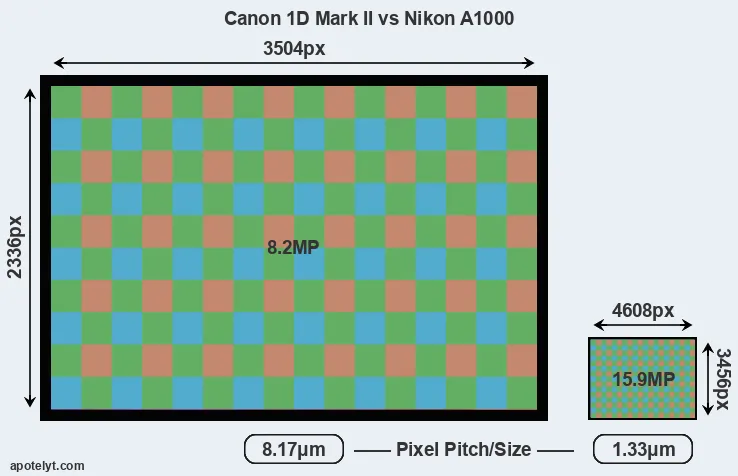 1D Mark II versus A1000 MP