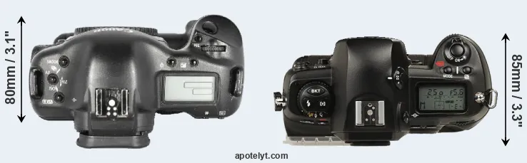 Compare 1D Mark II versus D1 top