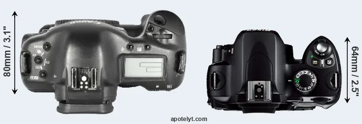 Compare 1D Mark II versus D40 top
