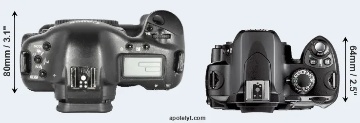 Compare 1D Mark II versus D40X top