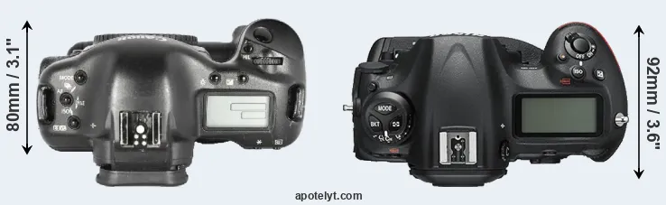 Compare 1D Mark II versus D5 top