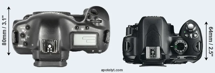 Compare 1D Mark II versus D60 top