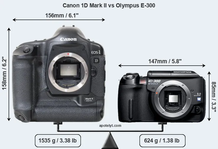 Size Canon 1D Mark II vs Olympus E-300