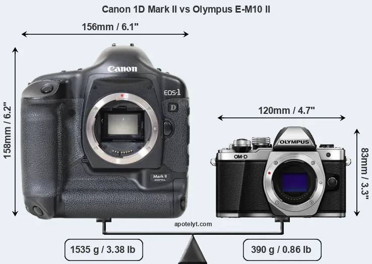 Size Canon 1D Mark II vs Olympus E-M10 II