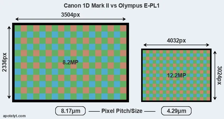 1D Mark II versus E-PL1 MP