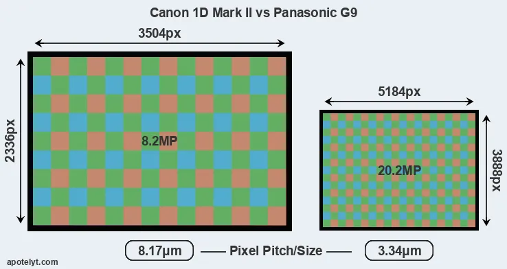 1D Mark II versus G9 MP