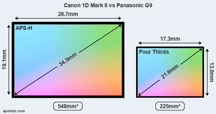 Canon 1D Mark II and Panasonic G9 sensor measures