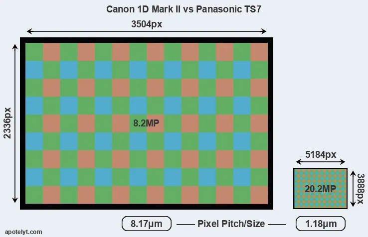 1D Mark II versus TS7 MP
