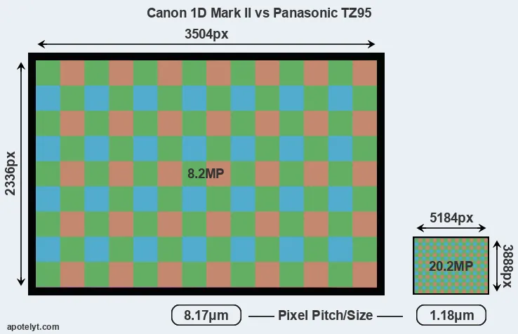 1D Mark II versus TZ95 MP