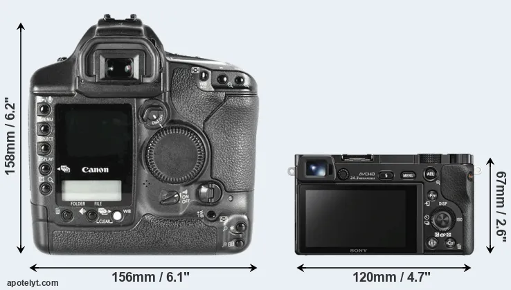Comparison 1D Mark II or A6000 rear
