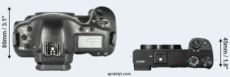 Compare 1D Mark II versus A6000 top