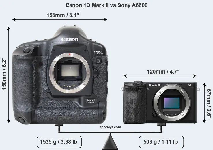 Size Canon 1D Mark II vs Sony A6600