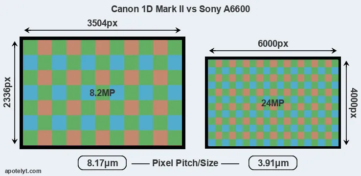 1D Mark II versus A6600 MP
