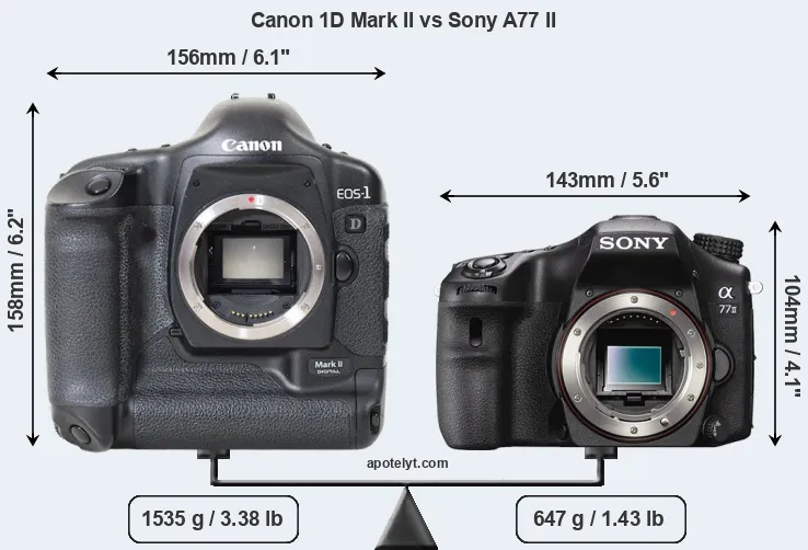 Size Canon 1D Mark II vs Sony A77 II