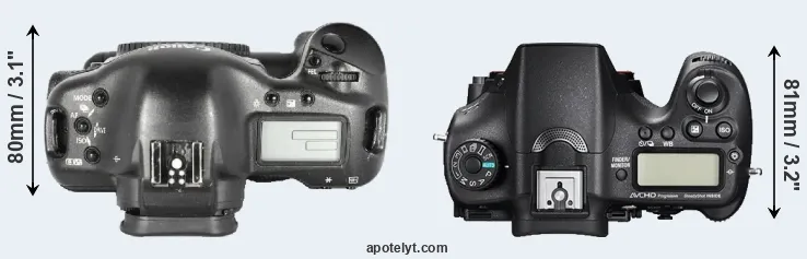 Compare 1D Mark II versus A77 II top