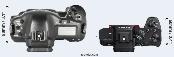 Compare 1D Mark II versus A7R II top