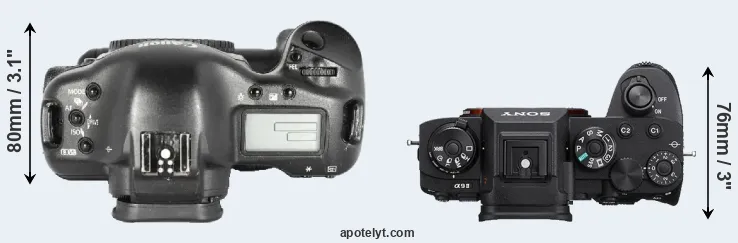 Compare 1D Mark II versus A9 II top