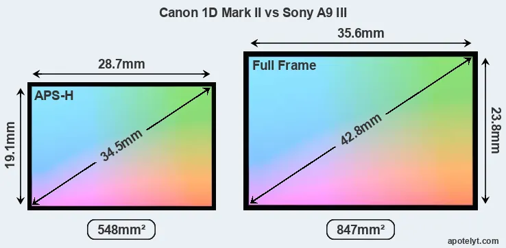 Canon 1D Mark II and Sony A9 III sensor measures