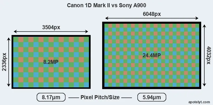 1D Mark II versus A900 MP