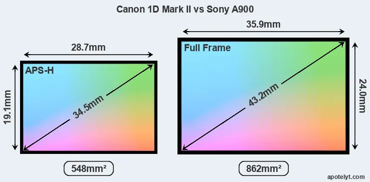 Canon 1D Mark II and Sony A900 sensor measures
