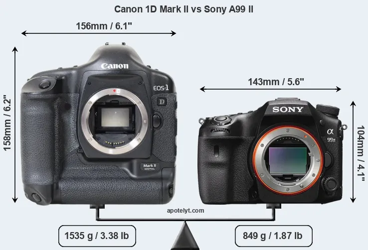 Size Canon 1D Mark II vs Sony A99 II