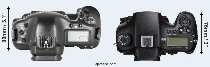 Compare 1D Mark II versus A99 II top