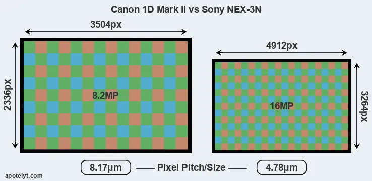 1D Mark II versus NEX-3N MP