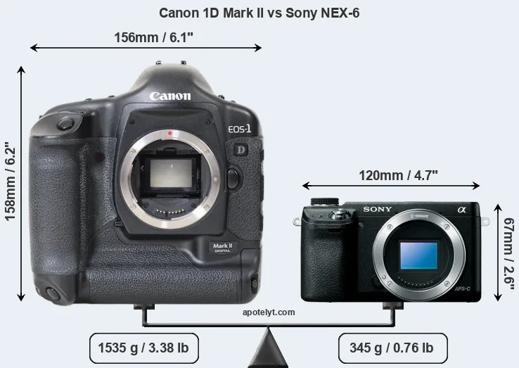 Size Canon 1D Mark II vs Sony NEX-6